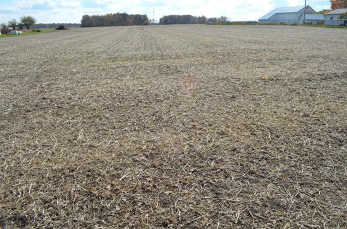 Property photo 43 - 75.3 Acres Offered in 2 Tracts